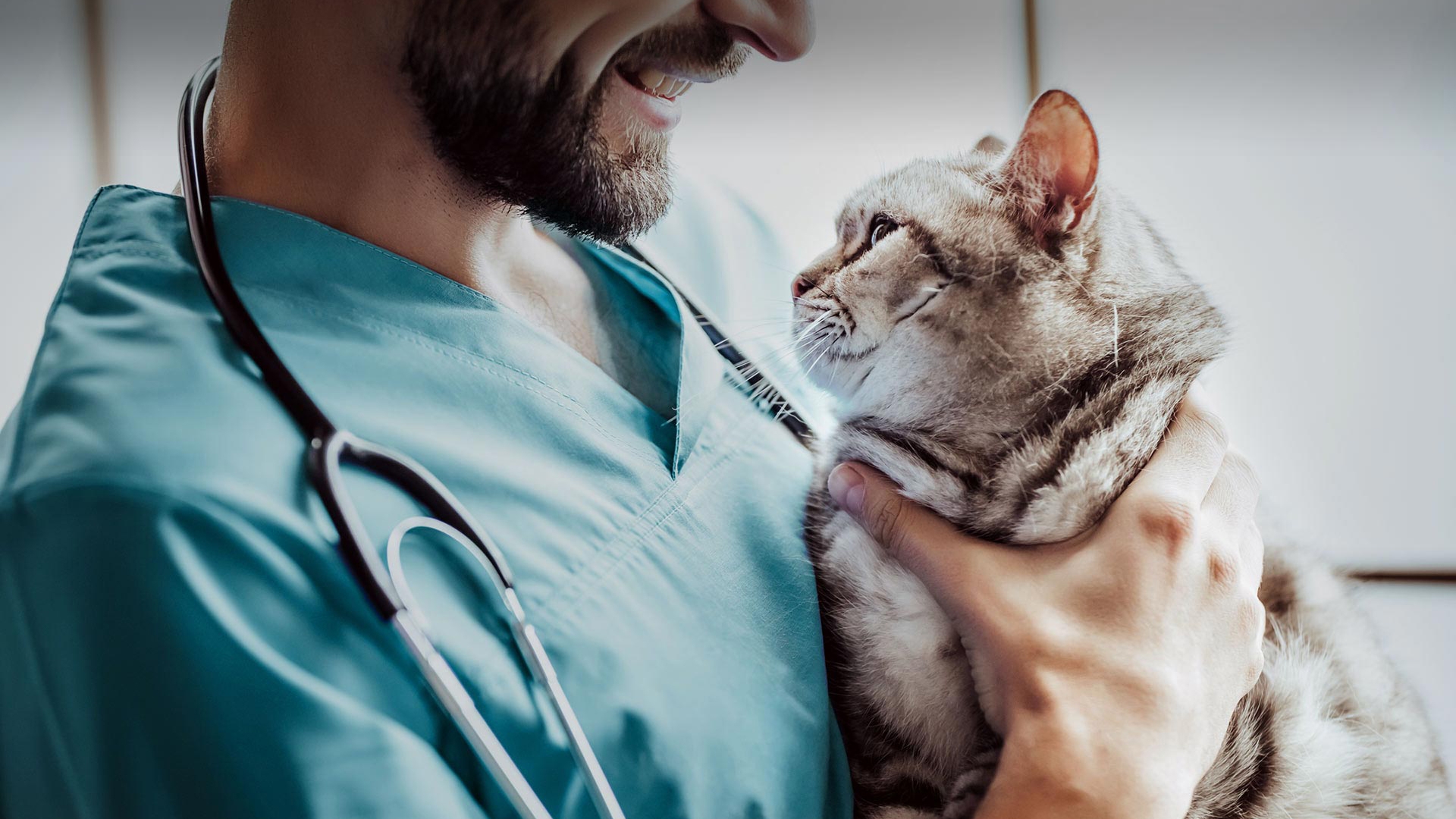 Hasanbeyli Veteriner